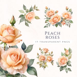 Pfirsich Fuzz Rosen Clipart, Blume Rahmen digitaler Download, Scrapbooking Verzierungen, Hochzeitseinladung, Papier Handwerk Lieferungen