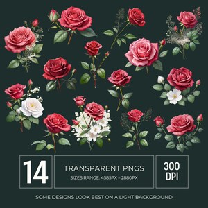May include: A collection of 14 transparent PNG images of red roses and white flowers with green leaves, on a dark green background. The image includes text that says "TRANSPARENT PNGS" and "300 DPI". Some designs look best on a light background.