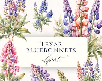 Texas Bluebonnet Wildflower Clipart PNG, State Flower Watercolor Graphics for Cardmaking and Scrapbooking