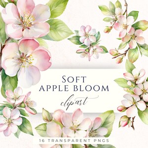 Może przedstawiać: Akwarelowa ilustracja delikatnych kwiatów jabłoni w odcieniach różu i bieli, z zielonymi liśćmi. Obraz zawiera tekst "SOFT APPLE BLOOM clipart" i "16 TRANSPARENT PNGS".