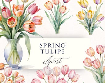 May include: Watercolor clipart featuring bouquets of tulips in various colors, including pink, orange, and yellow. Some tulips are in a clear glass vase. The text "SPRING TULIPS clipart" is displayed on a white background. The words "20 TRANSPARENT PNGS" are also visible.