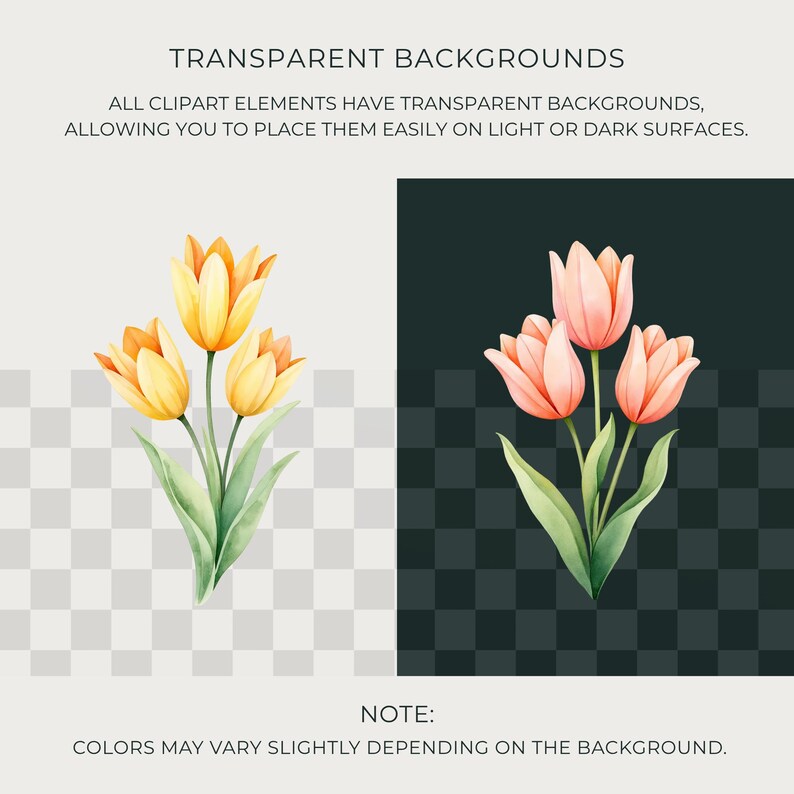 Watercolor Tulip Clipart Collection PNG, Spring Floral Graphics for ...