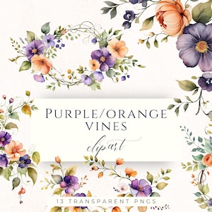 May include: Watercolor floral clipart featuring purple and orange flowers with green leaves. The image includes a wreath and corner arrangements. Text reads "PURPLE/ORANGE VINES clipart" and "13 TRANSPARENT PNGS".