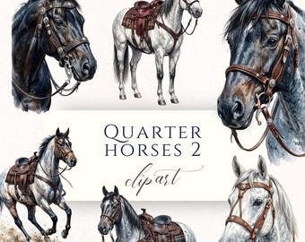 Imágenes prediseñadas de caballos Quarter Horse, acuarela de caballos de monta western, silla de montar y brida. Arte ecuestre.