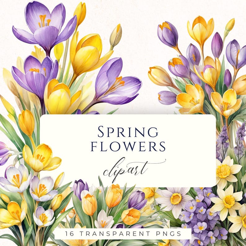 Crocus and Daffodil Spring Bouquet Watercolor Clipart PNG, Bright Floral Graphics for Scrapbooking and Cardmaking image 1