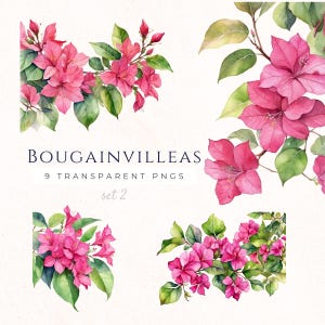 Clipart di Bougainvillea ad acquerello, stampe floreali rosa, arte estiva, fiori mediterranei, download digitale, fiore di Boganvilla, BOU002