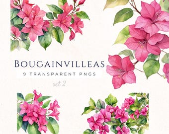 Watercolor Bougainvillea Clipart, Pink Floral Prints, Summer Art, Mediterranean Flowers, Digital Download, Boganvilla Flower, BOU002