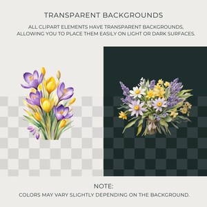 Crocus and Daffodil Spring Bouquet Watercolor Clipart PNG, Bright Floral Graphics for Scrapbooking and Cardmaking image 2