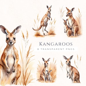 Clipart di canguro ad acquerello, grafica della fauna selvatica australiana, immagini di scrapbooking, download immediato, uso commerciale