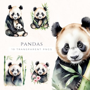 Clipart PNG di panda acquerello, arte di cucciolo di panda, decorazioni floreali della fauna selvatica, immagini di download istantaneo, sfondo trasparente, animale carino