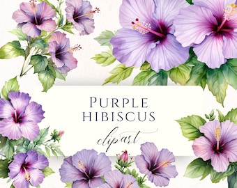 Purple Hibiscus Watercolor Clipart PNG, Tropical Floral Graphics for Scrapbooking, Cardmaking and Paper Crafting, HIB004