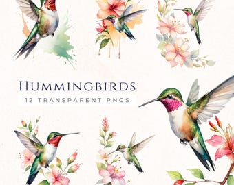 Hummingbird Clipart Digital Download, Watercolor Bird Clip Art, Scrapbooking Paper Craft, Commercial Use Images