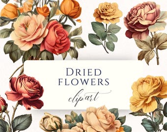 Dried Flower Watercolor Clipart PNG, Vintage Boho Floral Graphics for Junk Journals, Scrapbooking and Wedding Decor