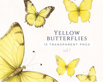 Butterfly Clipart Yellow Butterflies, Summer Butterfly PNG, Spring Clip Art, Butterfly Lover Gift, Insect Images, BUF008
