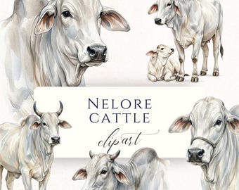 Imágenes prediseñadas de vacas Nelore en acuarela PNG, gráficos de animales de granja para álbumes de recortes, diarios creativos y creación de tarjetas.