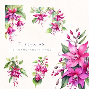 Rosa Fuchsia Aquarell Blumen Clipart-Set, Journal Grafiken, Scrapbooking Bilder, Magenta Blumen, Kartenherstellung Lieferungen