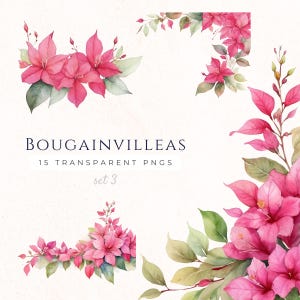 Clipart bougainvillier aquarelle, impressions florales roses, fleurs méditerranéennes, téléchargement numérique, art estival, scrapbooking, BOU006