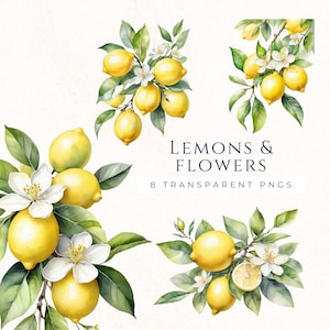 Pacchetto clipart di agrumi e limoni, set di clipart ad acquerello, artigianato di carta per album, immagini di frutta estiva