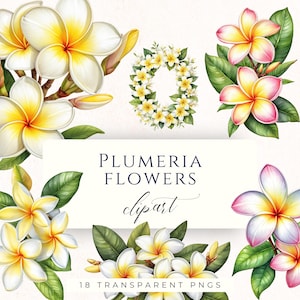 Plumeria Frangipani Clipart PNG, Tropical Hawaiian Flower Graphics for Wedding Invitations and Cardmaking