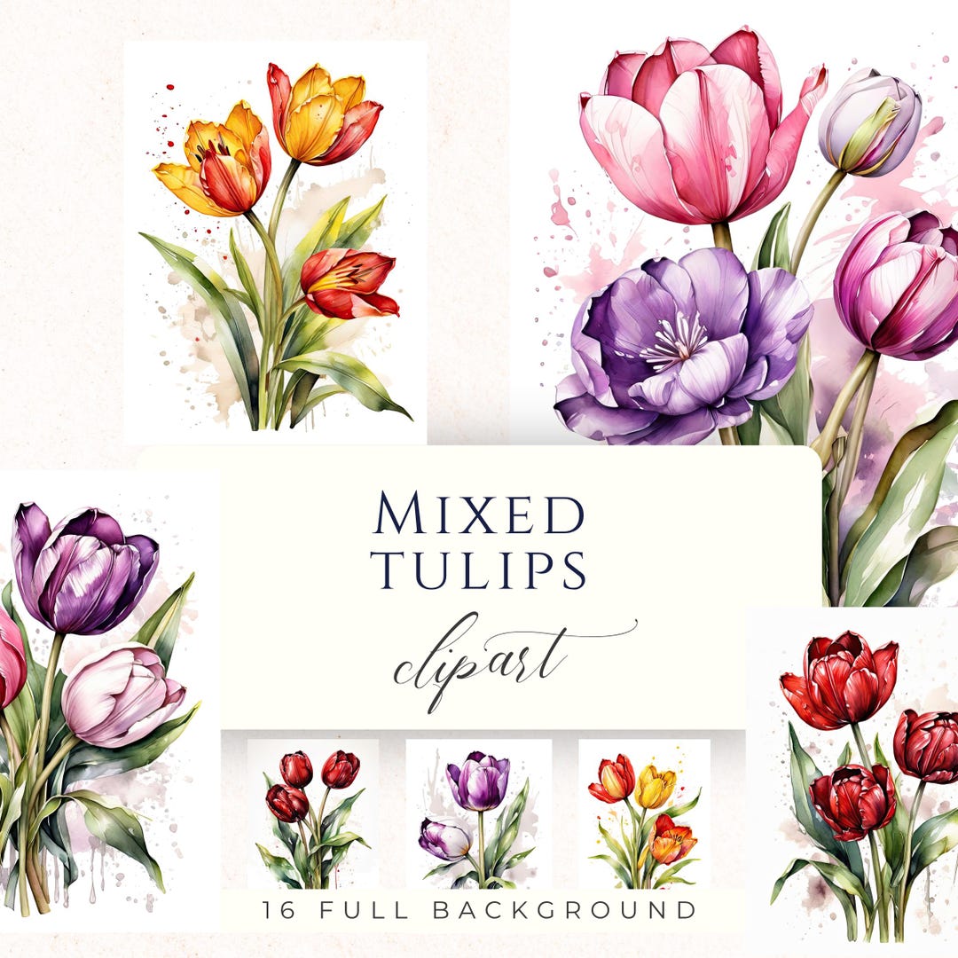 Mixed Tulip Watercolor Clipart PNG, Spring Floral Graphics for ...