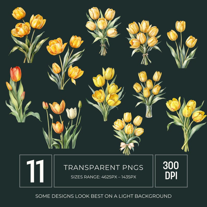Yellow Tulip Watercolor Clipart PNG, Spring Flower Graphics for ...