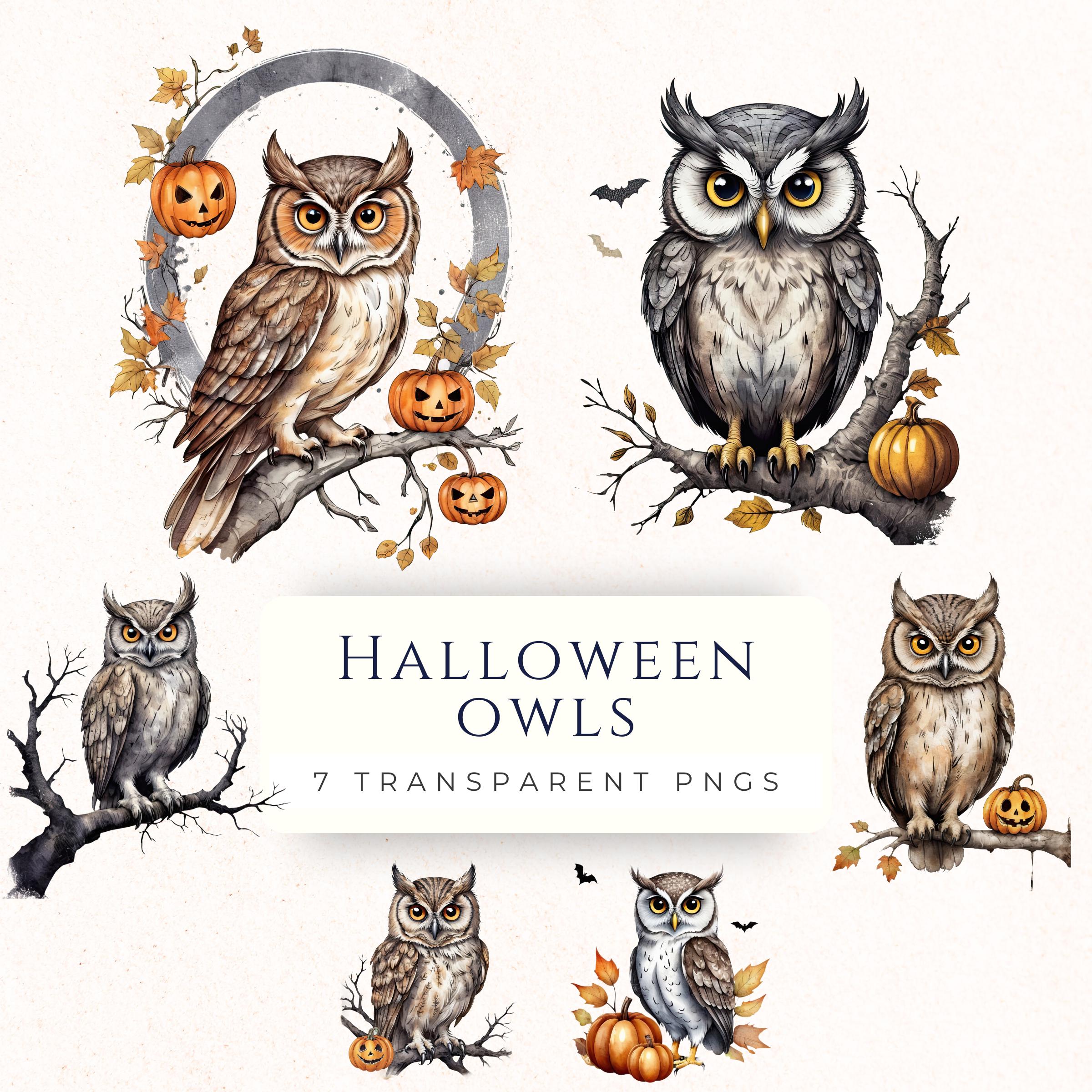 Halloween Owl Clipart PNG, Spooky Graphics for Scrapbooking, Cardmaking Supplies, Birthday Party Dec