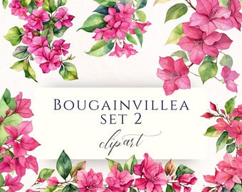 Pink Bougainvillea Watercolor Clipart PNG, Mediterranean Summer Floral Graphics for Scrapbooking and Cardmaking, BOU002