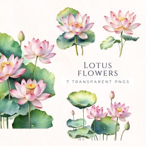 Conjunto de imágenes prediseñadas de flores de loto rosa, imágenes PNG de acuarela, gráficos para álbumes de recortes, kit de imágenes prediseñadas florales, descarga instantánea