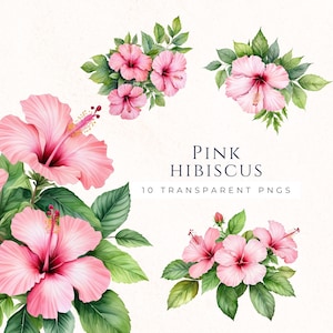 Aquarell rosa Hibiskus Grafiken, Clip Art-Set, sofortiger digitaler Download, Hibiskus Blumen Illustrationen, HIB002