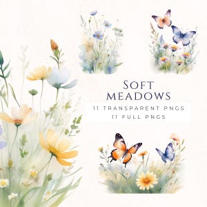 Clipart prairie de fleurs sauvages, PNG floral aquarelle, décorations de printemps, téléchargement immédiat des images clipart, fournitures pour la fabrication de cartes