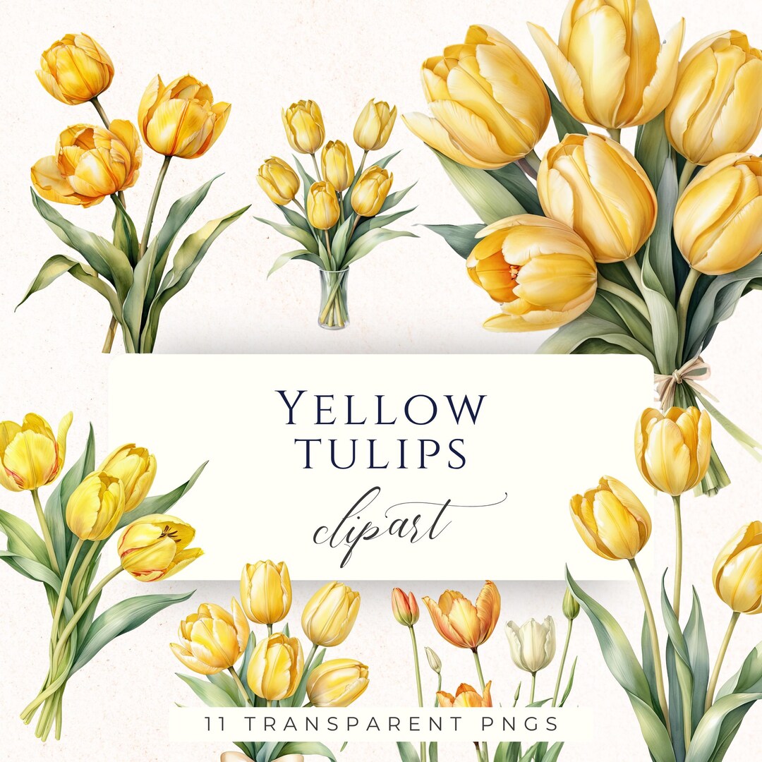Yellow Tulip Watercolor Clipart PNG, Spring Flower Graphics for ...
