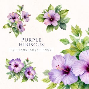 Violet fleur d'hibiscus Clipart téléchargement immédiat, graphiques floraux tropicaux, fleurs hawaïennes PNG, téléchargement numérique, créations en papier, HIB004