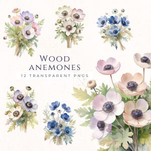 Houtanemoon boeket clipartset, aquarelafbeeldingen, wilde bloem PNG, afbeeldingen papier crafting, plakboekkunst, ongewenste logboeken