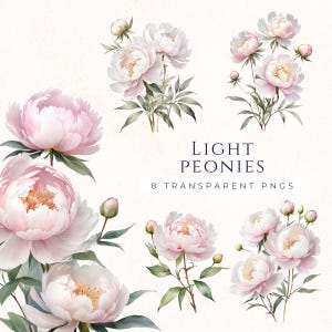 Peony bloem clipart Instant Download PNG, bruiloft plakboekafbeeldingen, Digital Crafting Supply, commercieel gebruik, aquarel pioen decor, PEO004