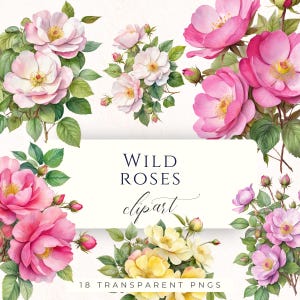 Puede incluir: Clipart de acuarela con rosas silvestres rosas, blancas y amarillas con hojas verdes. La imagen incluye el texto "WILD ROSES clipart" y "18 TRANSPARENT PNGS".