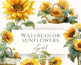 Conjunto de imágenes prediseñadas de girasoles en acuarela en formato PNG, gráficos florales veraniegos brillantes para álbumes de recortes, diarios creativos y creación de tarjetas.