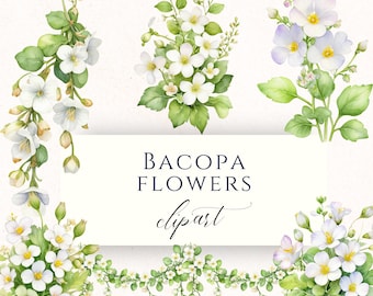 白いバコパの花のクリップアートPNG、スクラップブッキング、ボーダー、ペーパークラフト用の繊細なガーデンフローラルグラフィック