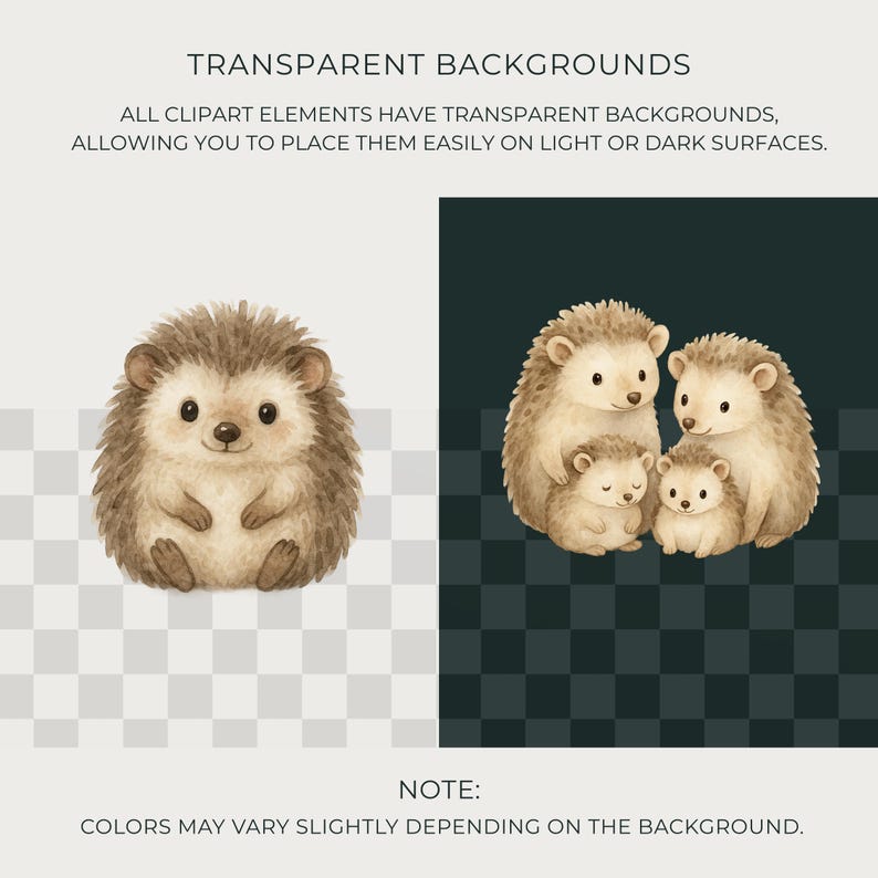 May include: Watercolor illustrations of hedgehogs. One image shows a single hedgehog, while the other depicts a hedgehog family. The text states that the clipart elements have transparent backgrounds, allowing easy placement on light or dark surfaces.