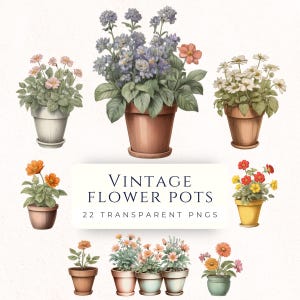 Blumentopf Clipart-Set, Garten Clip Art PNG-Bilder, Sofort-Download Scrapbooking Dekor, Boho Blumentopf Illustrationen