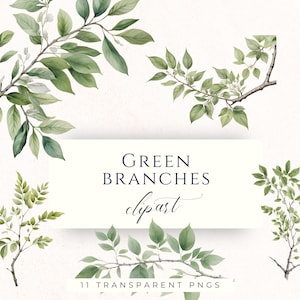 Grön trädgren akvarell Clipart PNG, botanisk lövgrafik för scrapbooking, korttillverkning och pappersarbete, BRA006