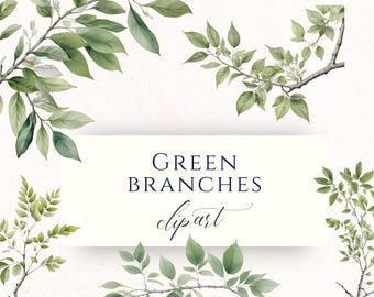 May include: A collection of watercolour clipart featuring green branches and leaves. The image shows several sprigs of greenery on a white background. Text on a white rectangle reads "GREEN BRANCHES clipart" and "11 TRANSPARENT PNGS".