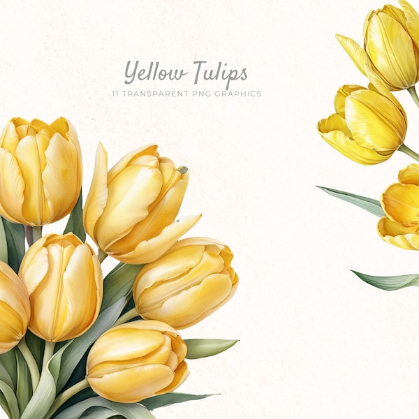 Yellow Tulips Clipart, Spring Flower Clip Art, Instant Download, Watercolor Tulip Clip Art, Floral Design, Tulip PNG, TUL001