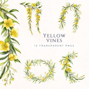 Clipart fleurs jaunes de vignes de saule, téléchargement immédiat PNG, décorations de printemps, Clipart Couronne, Clipart de vigne