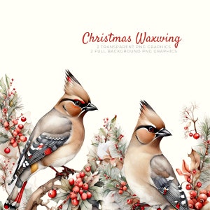 Kerst Pestvogels Clipart, vakantievogel direct downloaden, plakboekafbeeldingen, levering kaarten maken, ambachtelijke decoraties, papier maken
