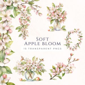 Clipart appelbloesemrand, digitale download, plakboekafbeeldingen, roze appelbloesem, voorraad kaarten maken, lentepapier maken