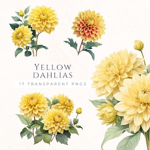 Dahlia fleur Clipart, graphique Floral jaune, téléchargement immédiat, fond Transparent PNG, thème jardin, fichiers numériques pour travaux manuels et conception