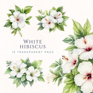 Hawaiianische Hibiskus, Clipart Set, Aquarell Blumen Illustrationen, Sofort Download, Tropische Blume Grafik, Papaer Craft, HIB001