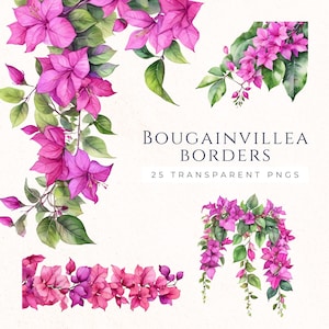 Clipart di bordura di fiori di bouganville, ghirlanda floreale rosa e viola, clipart di fiori ad acquerello, download digitale PNG, Boganvilla, BOU003