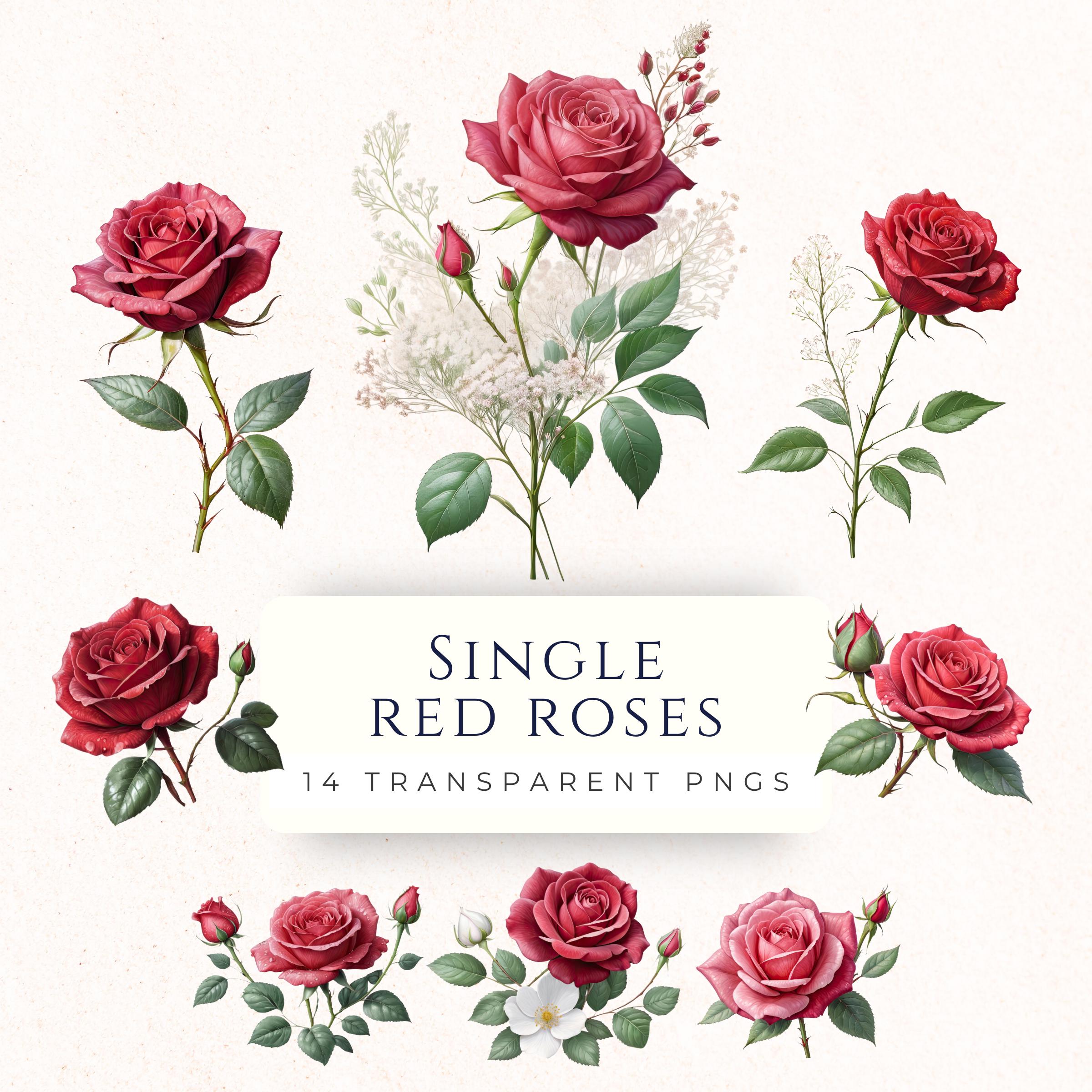 Single Red Rose Clipart Digital Download, Scrapbooking Supply, Paper ...