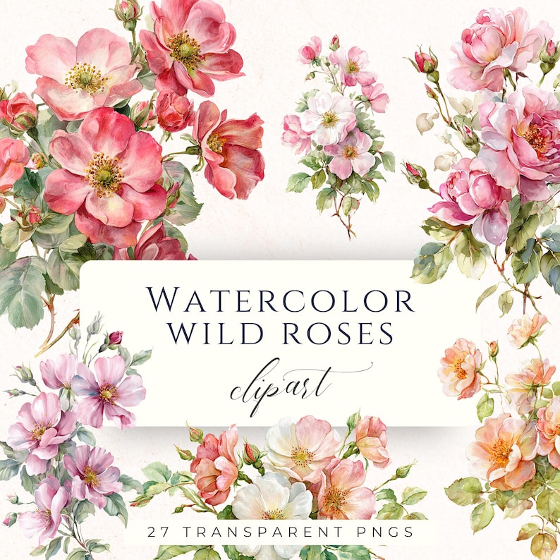 Watercolour Wild Roses Wild Rose Bouquet Watercolor Clipart PNG, Romantic Floral Graphics for ...
